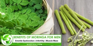 Benefits of moringa powder